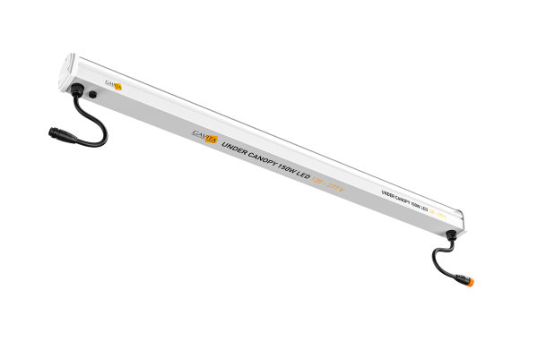 Gavita Under Canopy 150W LED