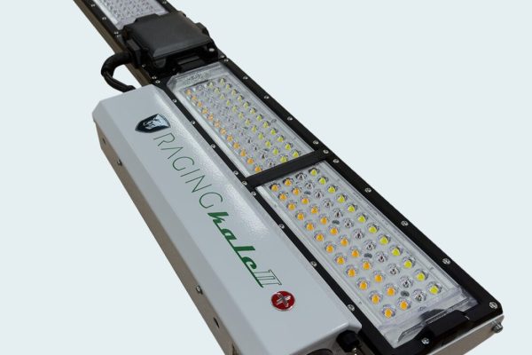 ScynceLED Raging Kale II+ grow light