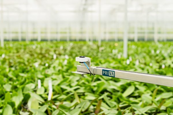 Priva Greenhouse Horticulture LED Lighting