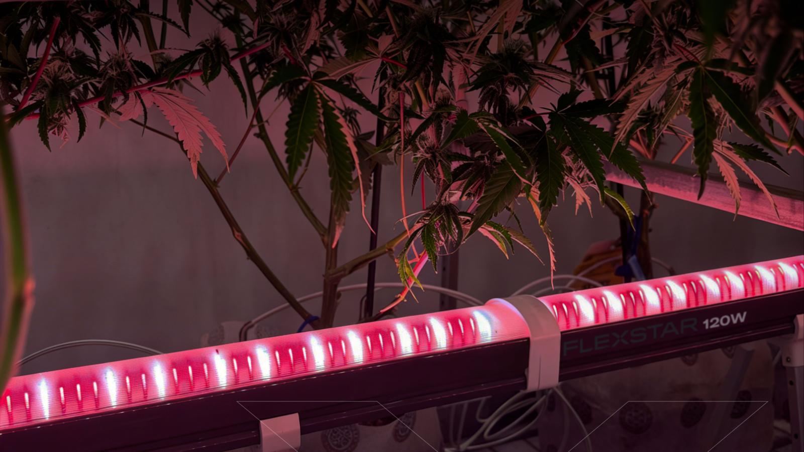 Flexstar Under Canopy LED 120W