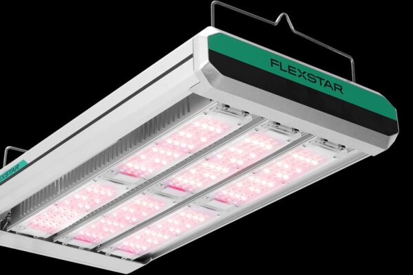 Flexstar 800W NOVA Toplight