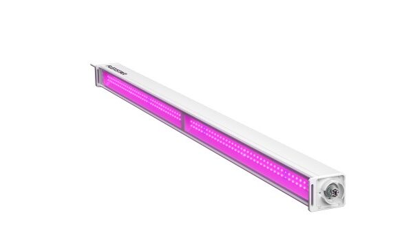 Flexstar Linear Top Light 250W