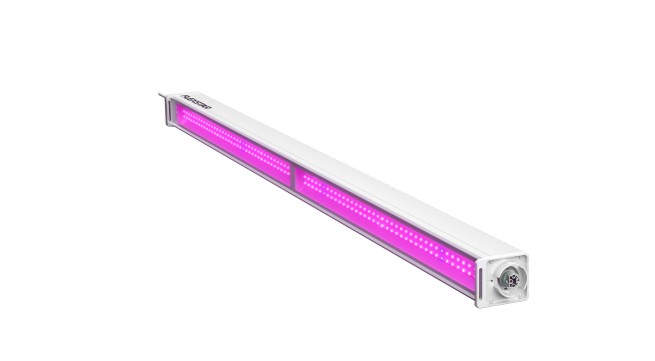 Flexstar Linear Top Light 250W