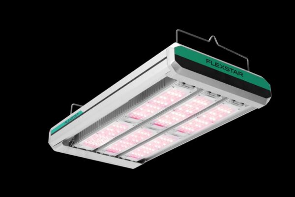 Flexstar NOVA HB 800W
