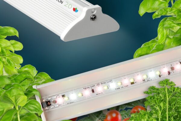 Happy Leaf Procyon 2.0 full-spectrum LED grow light