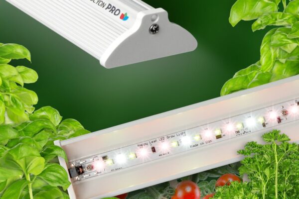 Happy Leaf Procyon PRO full-spectrum LED grow light