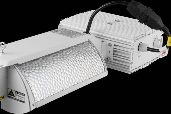 Flexstar 1000W DE