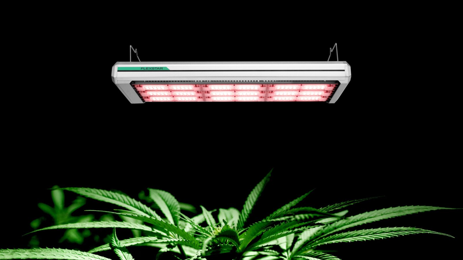 Flexstar 1200W NOVA Toplight