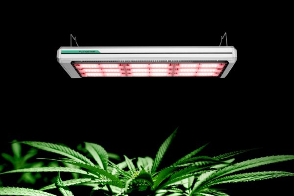 Flexstar 1200W NOVA Toplight
